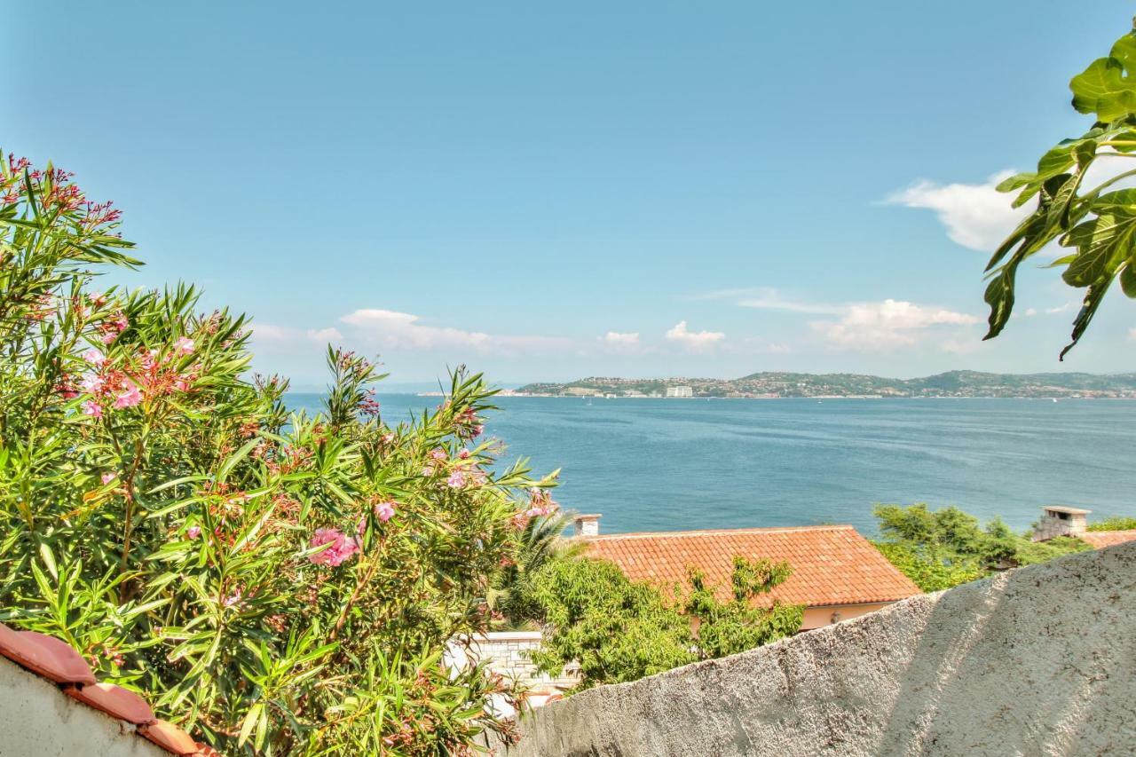 Apartment Katarina Crveni Vrh Bagian luar foto
